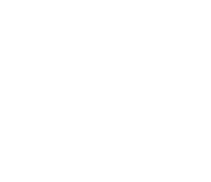 Medical Services Income